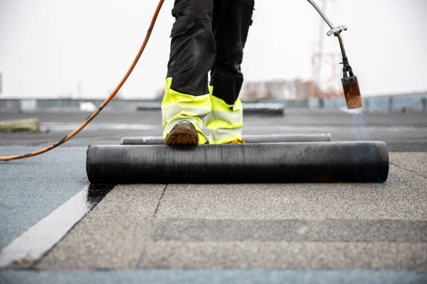 Best Steel Roofing  in Tillmans Corner, AL