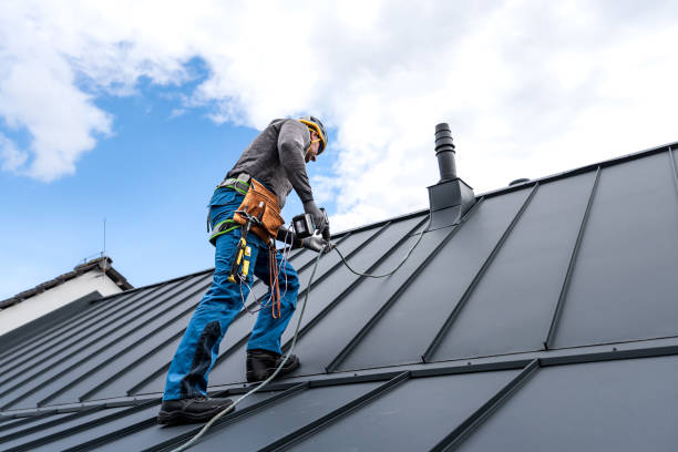 Best Roof Maintenance and Cleaning  in Tillmans Corner, AL