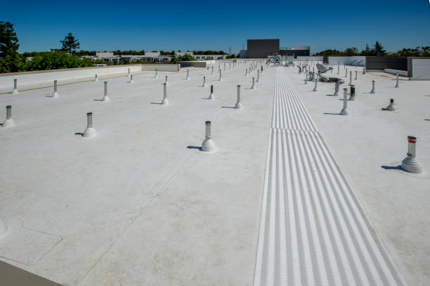 Best Storm Damage Roof Repair  in Tillmans Corner, AL